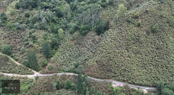 Arsinde Bu Fiyata Böylesi Yok