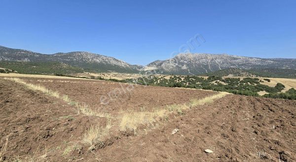 Burdur Yeşilova Armut Köyde 1306 M² Tarlamız Satılıktır.