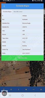 Korkuteli Merkeze Yakın Satılık Tarla