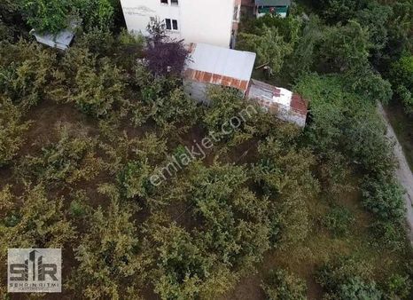 Trabzon Beştaş'ta Satılık 4.603 M2 Arazi