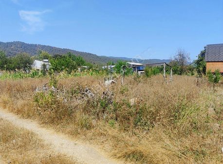 Kestel Gölcük Köyünde Satılık Hobi Bahçesi Elektrik Suyu Vardır