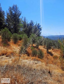 Sahilatlıdere 3148 M2 Tarla Vasfında Arazi Tek Tapu