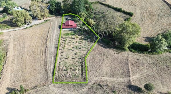 Erlife'den Sarıtaş Da Mükemmel Bir Meyve Bahçeli Tarla...