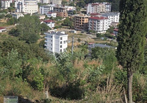 Çakırlar Yalı Mah 581m2 Satılık Arsa