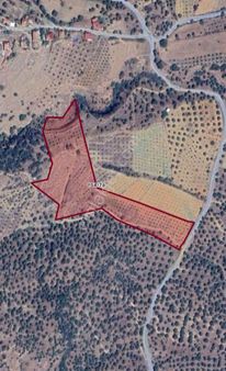 Aydın Bozdoğan Kılavuzlar Da Anayola Cepheli İncir Bahçesi