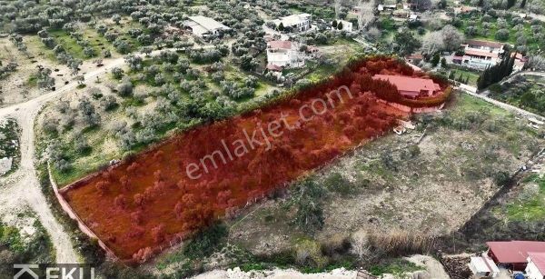 Kuşadasın'da Tek Katlı Çiftlik Evi 4+1