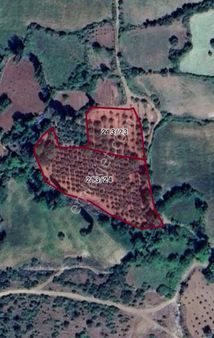 Salihli Yağmurlar Mahallesi'nde Satılık Müstakil Tapulu Tarla