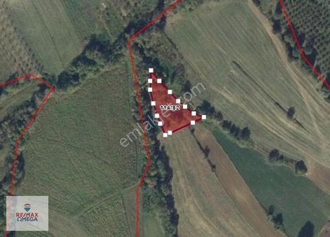 Kandıra Üğümce'de Satılık 1.314 M2 Tarla