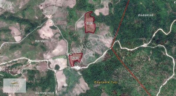 Çanakkale Yenice Taban Köyünde Kadastro Yolu Olan Satılık Tarla