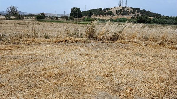 Tire Kaçmaz Emlaktan Tokide Tarla Asvalt Yol Kenarı