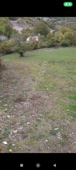 Taşova'da Satılık Tarla Ve Ev