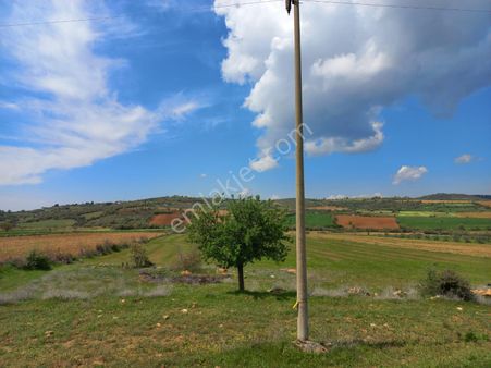 Manisa Salihli Ekime Uygun Tarla