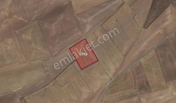 Ali Çifter' Den Emirdağ Davulga Alasakallı Da Satılık Tarla