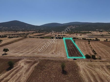Denizli Tavas Çağırganda Satılık 3480 M2 Tarla