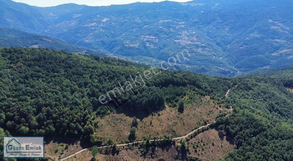 16.900m2 Arazi 150 Metre Resmi Yola Cephe Bu Fiyata Başka Yok