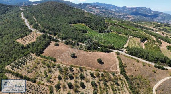 Geyve Alıplar 6.911m2 Manzaralı Arazi