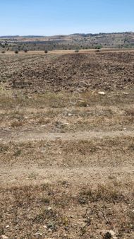 Kütahya Merkez'de 2.891 M2 Dümdüz Fırsat Arazi