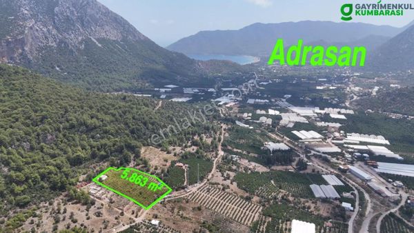 Antalya Adrasan Sahile 3,5 Km Mesafede Satılık Nar Bahçesi