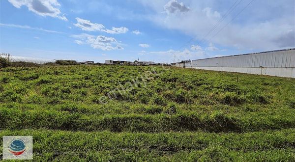 Kocaeli Gebze Pelitli Mah. 3200 M² Satılık Ticari İmarlı Arsa