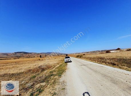 Bursa Yenişehir Ebeköy'de 13.489 M² Satılık Arsa