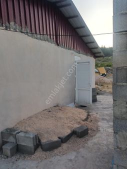 Silifke Gğndüzler Mah Evve Tarla