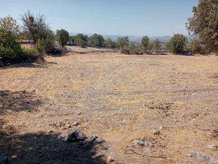 Bergama Durmuşlar Da Şantiye Dibi Yatırımlık 5760 M2 Tarla