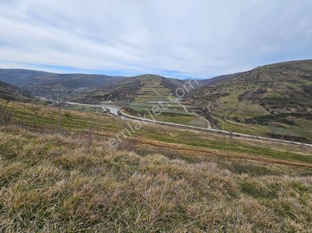 Bungalov Yapımına Ve 200 M2 Yazlık Yapımına Uygun 8 Dönüm Tarla