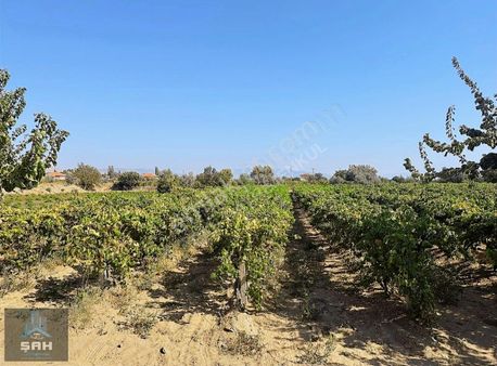 Killik Mah. Yerleşim Yeri Yanında İmarlaşmaya Yakın Satılık Bağ