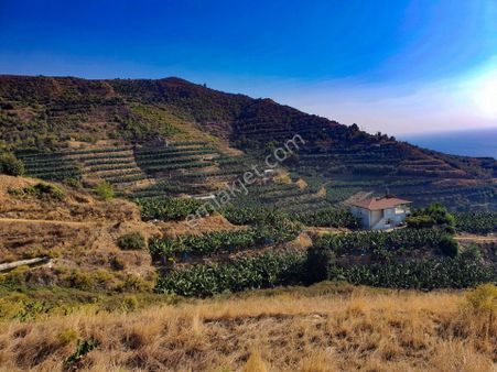 Anamur Anıtlı Müstakil Tapulu Satılık Tarla-arsa