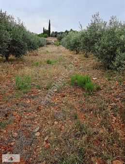 İncirlikuyuda Satılık Bahçe