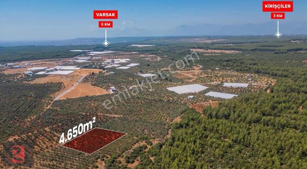 İmara Komşu Çamlıca Köyü 4650m2 Tarla