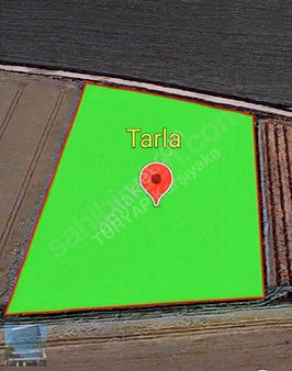 İzmir Menemen Kesikköy'de Satılık Tarla