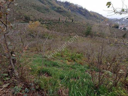 Yıldızlı Mah. Satılık Anayol Kenarında Bahçe