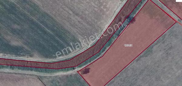 Bursa Mustafakemalpaşa Üçbeyli Mah. Kaçırılmayacak Fırsatta Satılık Tarla