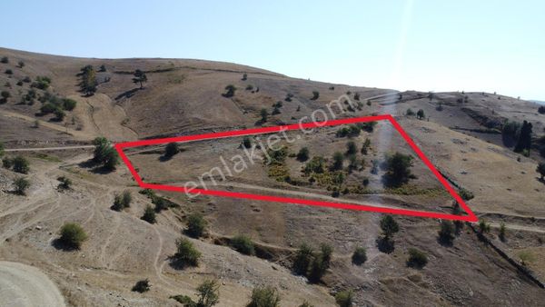 Sinop Durağan'da Satılık Arazi