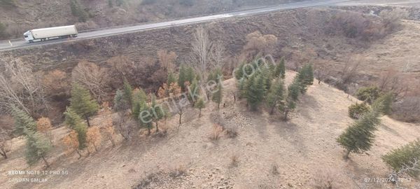 Niğde Koçak Köyü Satılık Bahçe Bağ Yeri