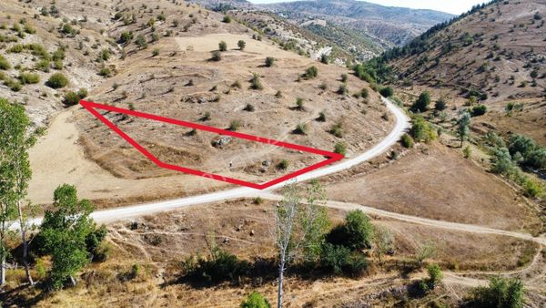 Sinop Durağan'da Satılık Arazi