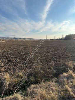 Kahramankazanda Yazıbeyli Mevkiinde Yatırımlık Tarla