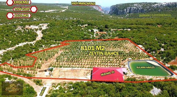 Erdemli Yeniyurt'ta 8.104 M2 Zeytinlik Ve Yeni Müstakil Ev