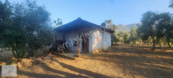 Tire Prestijden İmarın Hemen Yanında Satılık Arazi