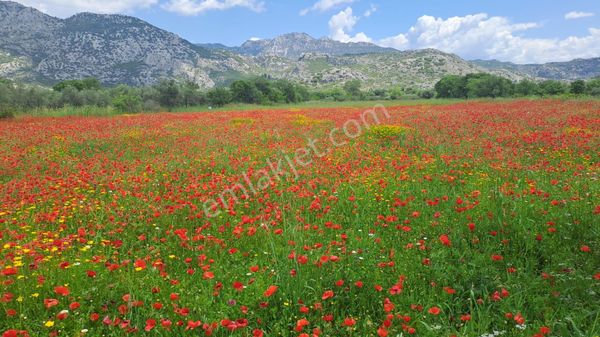 Antalya Döşemealtı Karaveliler'de 2.496 M2 Satılık Rızai Taksimli Arsa