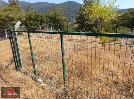 Damlacıkta 550m2 Tapulu