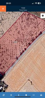 Şanlıurfa Karaköprüde Satılık Fıstıklık Tarla