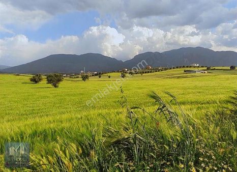 Tekirdağ Marmaraereğlisi Çeşmelide Yerleşim Yerine Çok Yakın