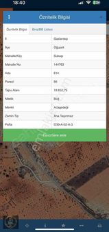 Barondan Oğuzeli Subaşı Yatırımlık Zeytinlik
