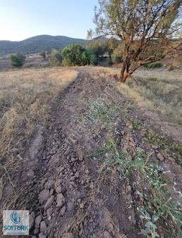 Soytürk'den Başçeşme De Bölgenin Satılık En Buyük Arazisi 35 171