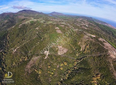 Detay Emlaktan Yukarıyapıcıda Satılık 9.5 Dönüm Tarla (videolu)