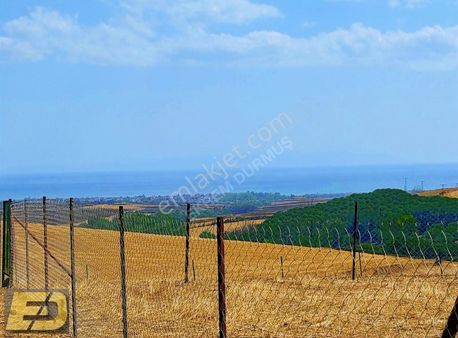 Ed Arsadan Denize Ve Yerleşim Yerine 2km Mesafede Huzurlu Konum