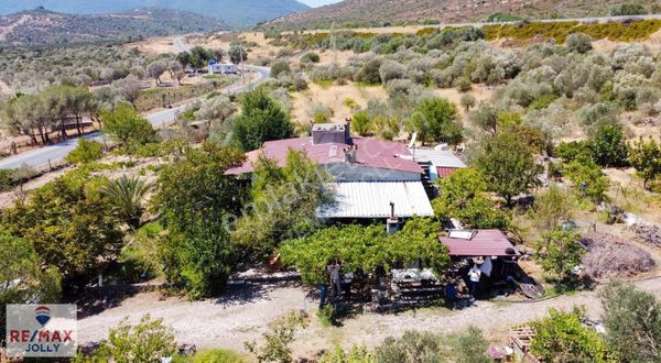 Urla'da Bakımlı Resmi Evi, Elektriği, Suyu Olan 8346 M² Tarla