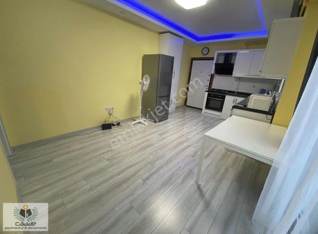 Hurma'da Satılık 1+1 Yüksek Giriş D.gazlı Havuzlu İskanlı Daire